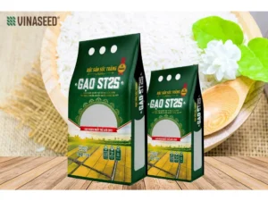 Gạo ST25 - 20kg
