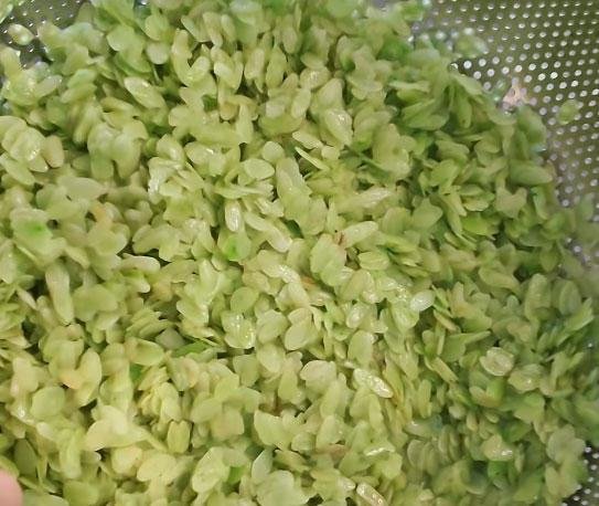 Cốm xanh khô làng Vòng Hà Nội - Chợ Việt tại Châu Âu