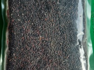 Gạo nếp cẩm - 1kg