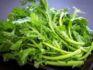 Rau cải cúc 500G (Tần ô) theo mùa