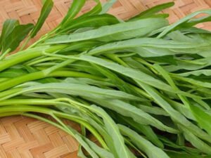 Rau muống THÁI LAN ít lá - 500g Order