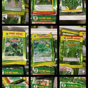 Hạt giống rau - gói - Mua 2 gói hạt giống bất kì tặng 1 gói