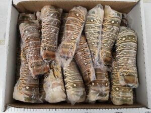 Đuôi tôm hùm (bán lẻ hoặc theo KG) - hàng nhận trước 21/12