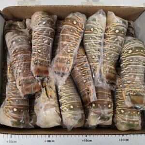 Đuôi tôm hùm (bán lẻ hoặc theo KG) - hàng nhận trước 21/12