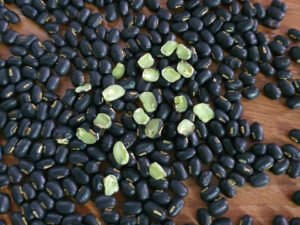 Đậu đen xanh lòng ( bio nhà trồng) - 1kg