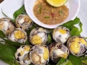 NHẬN ORDER TRỨNG CÚT LỘN Vỉ 30 trái: 17€